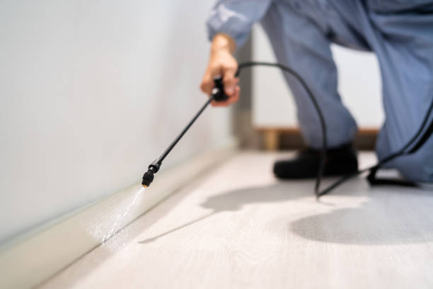 Licensed Pest Control service in Redland, TX - Show Me Pest Control